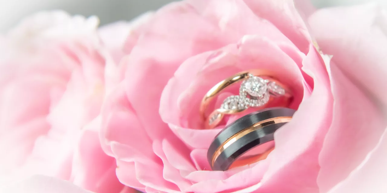 The importance of Professional Photographers