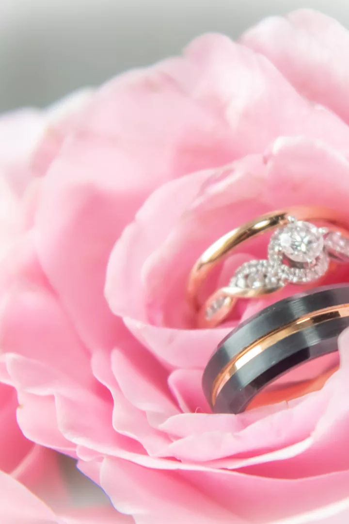 Professional Photographers