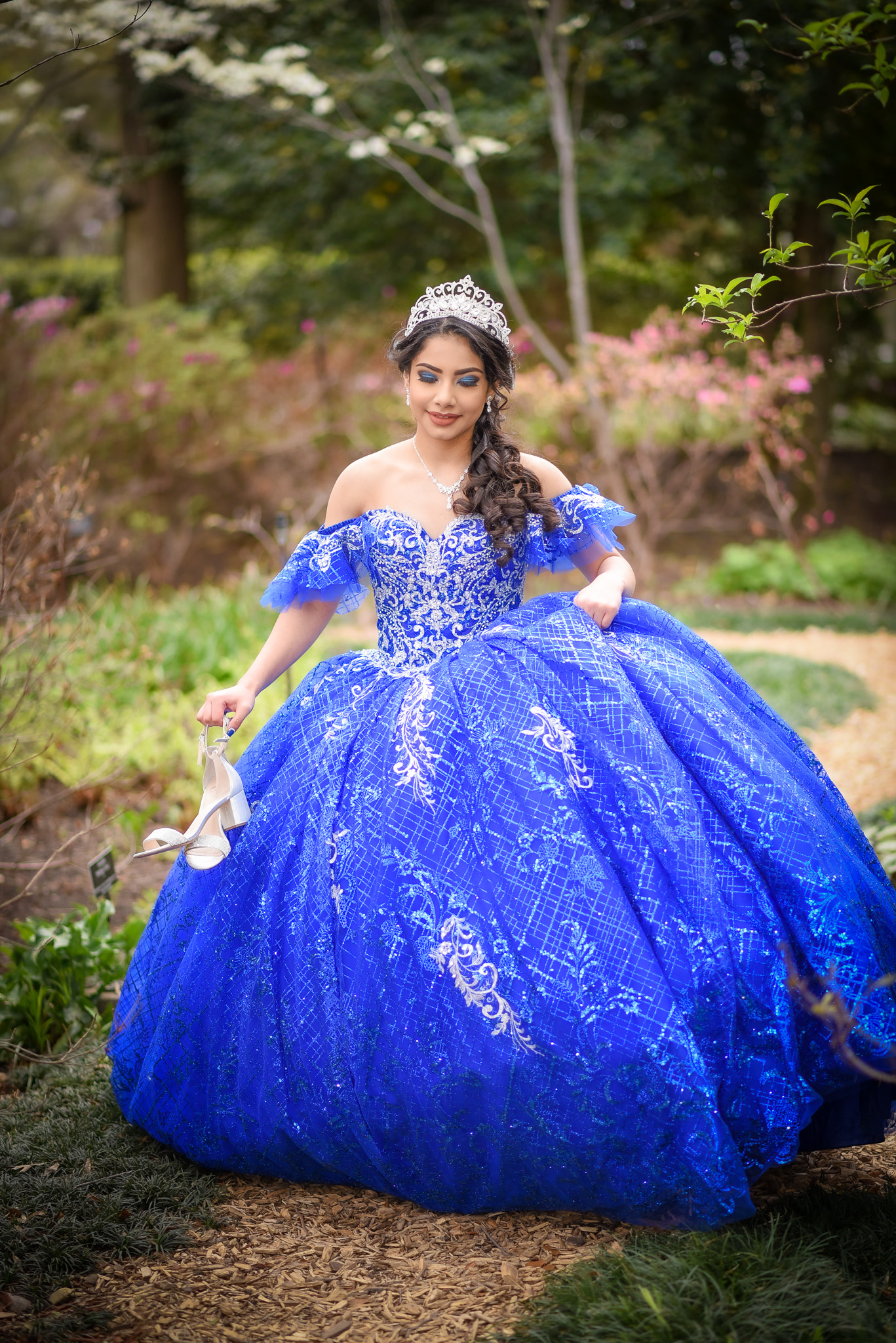 The Perfect Quinceanera