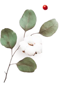 floating_image_06 https://www.pegasusfoto.com/wp-content/uploads/2020/10/floating_image_06.png