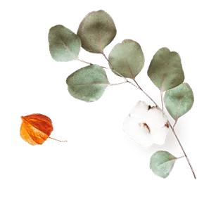 floating_image_07 https://www.pegasusfoto.com/wp-content/uploads/2020/10/floating_image_07.png