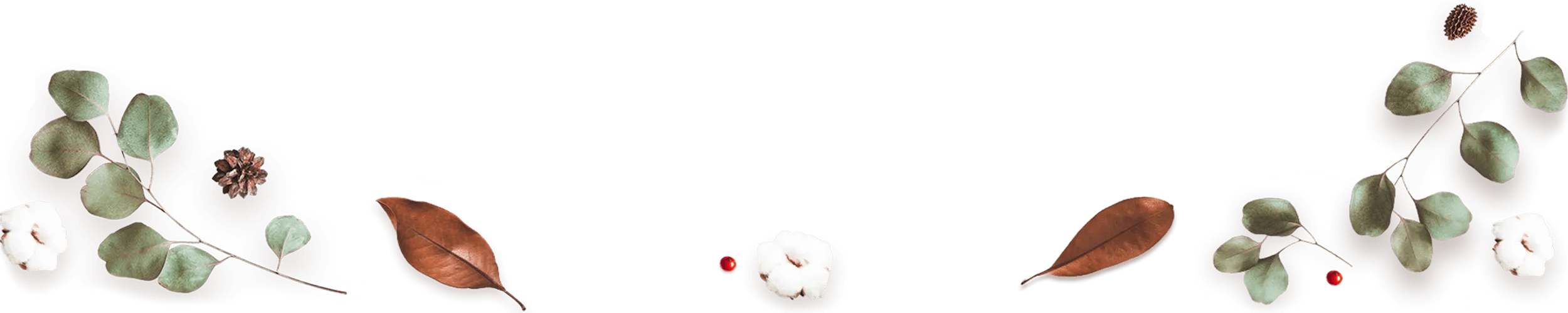 floating_image_03 https://www.pegasusfoto.com/wp-content/uploads/2020/12/floating_image_03.png